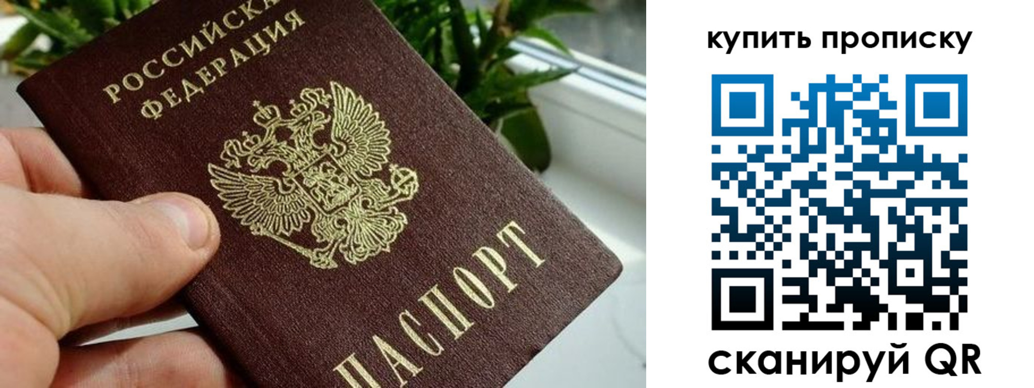 прописка для военкомата в Лисках